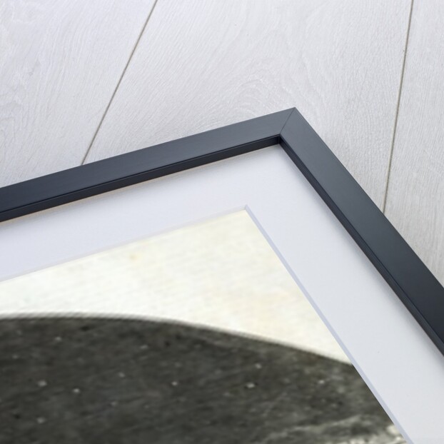 Burford's New Panorama of Naples by Moonlight by English School