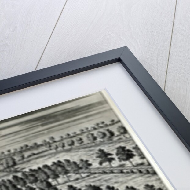 Bromley College in Kent by English School