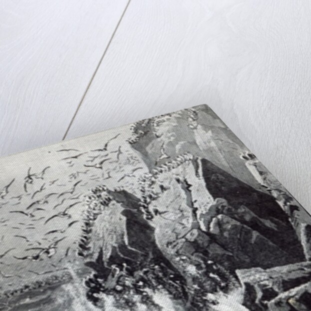 The Haunt of the Gulls by English School