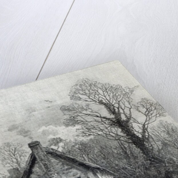 First Flowers by English School