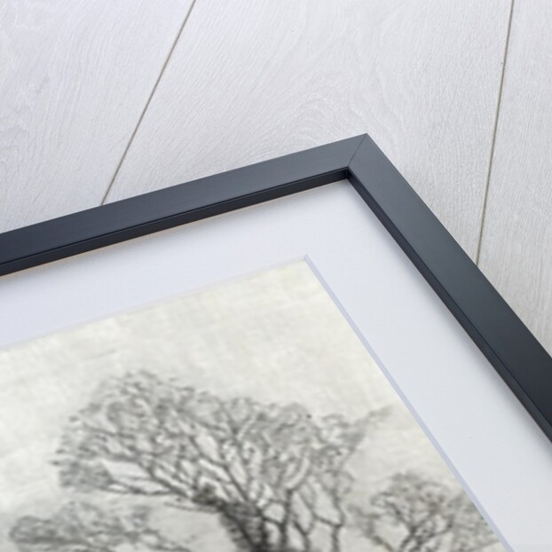 First Flowers by English School