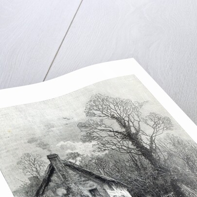 First Flowers by English School