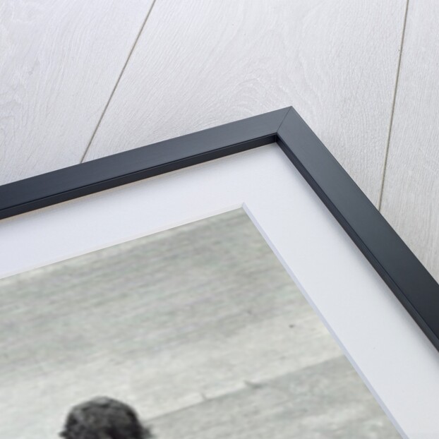 The Fisher's Lass by Dewey Bates (after)