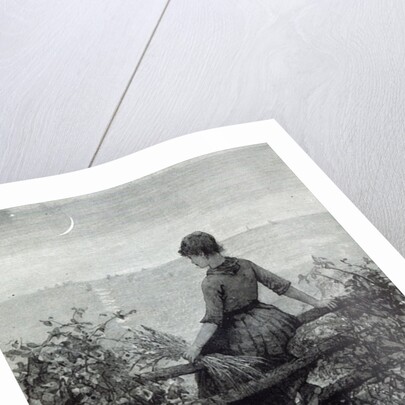 The Fisher's Lass by Dewey Bates (after)