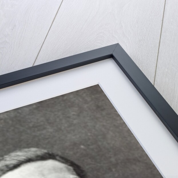 Frederick III by English School