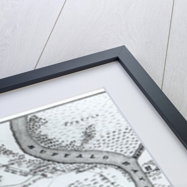 Ground Plan of the Battle of San Jacinto by American School