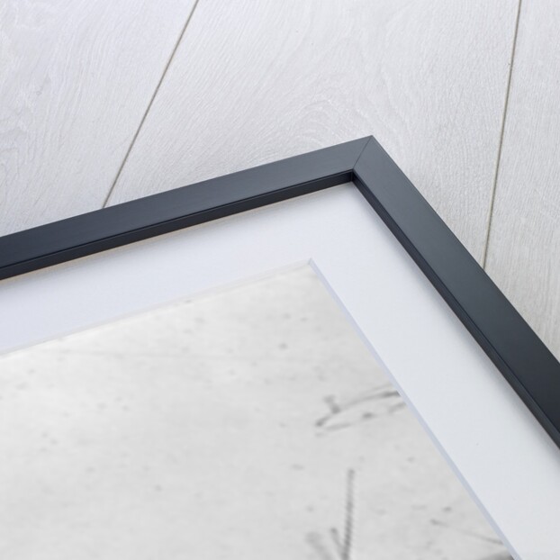 Exchange Station and Cromwell's Monument, Manchester, c.1910 by English Photographer