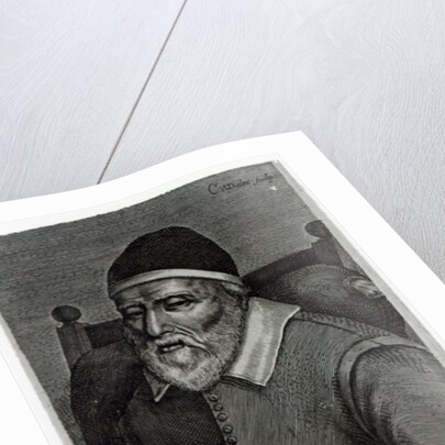 Old Tom Parr, 1635 by English School