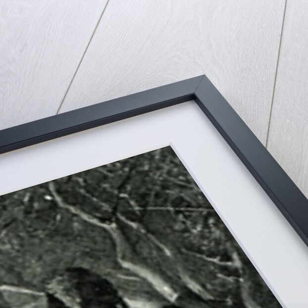 Napoleon and Coignet by Felicien baron de Myrbach-Rheinfeld