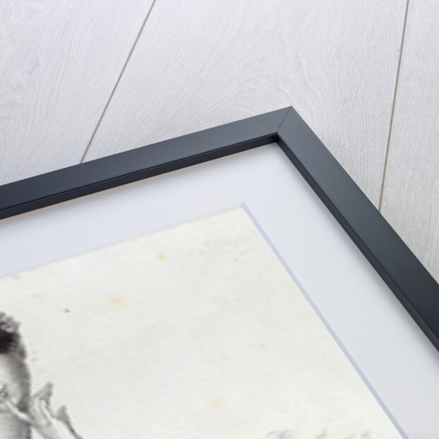 Mdlle Lucile Grahn by English School