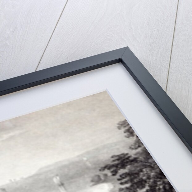 Hastings Castle from the Revd W. Wallinger's Plantation by Thomas (after) Ross