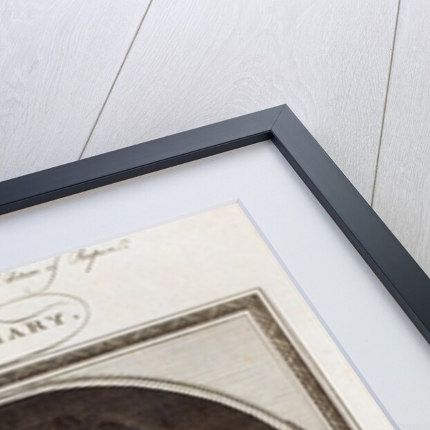 Queen Mary at Kensington Palace, engraved for Harrison's Edition of Rapin, published 8th January 1785 by Godfrey (after) Kneller