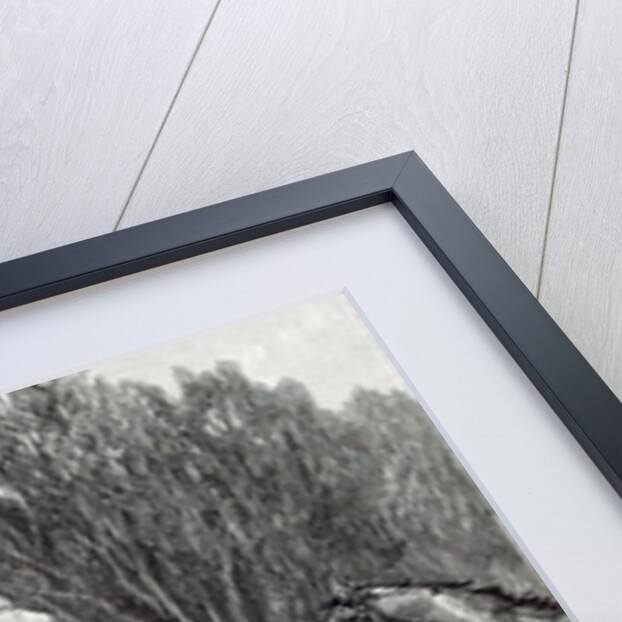 Prince Albert Hunting near Belvoir Castle by English School