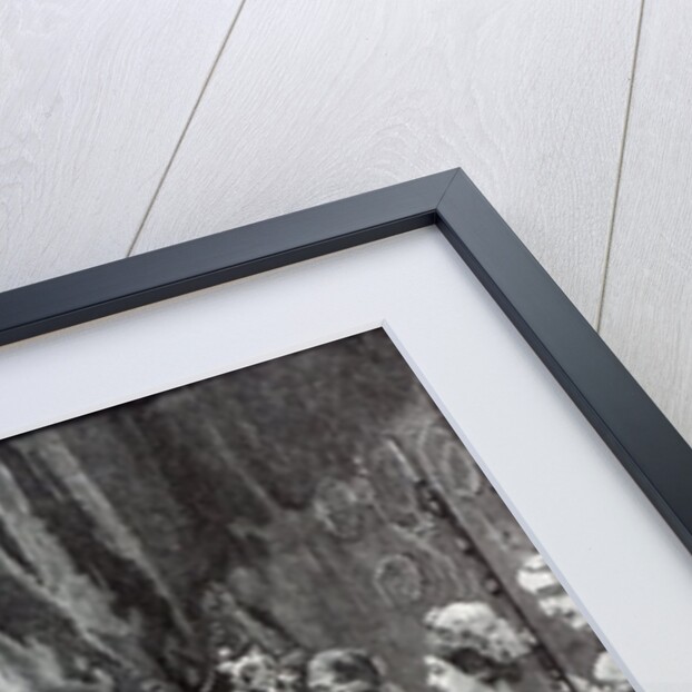 The Queen Opening Parliament in 1846 by English School