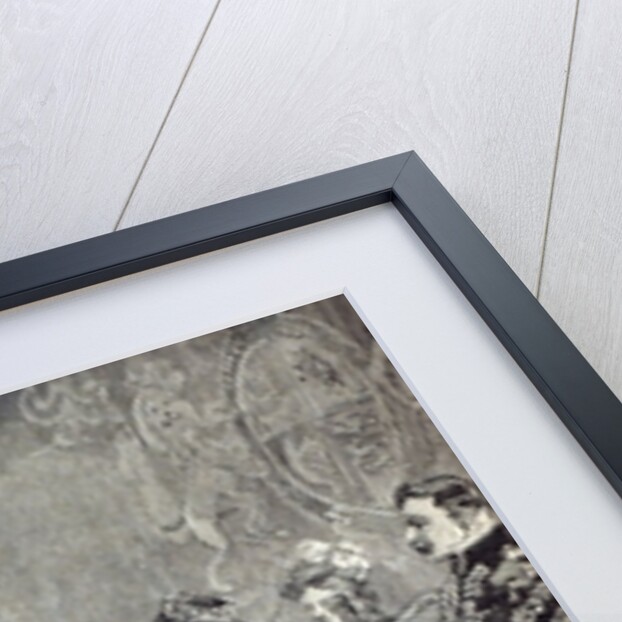 The Queen investing the Emperor of the French with the Order of the Garter by English School