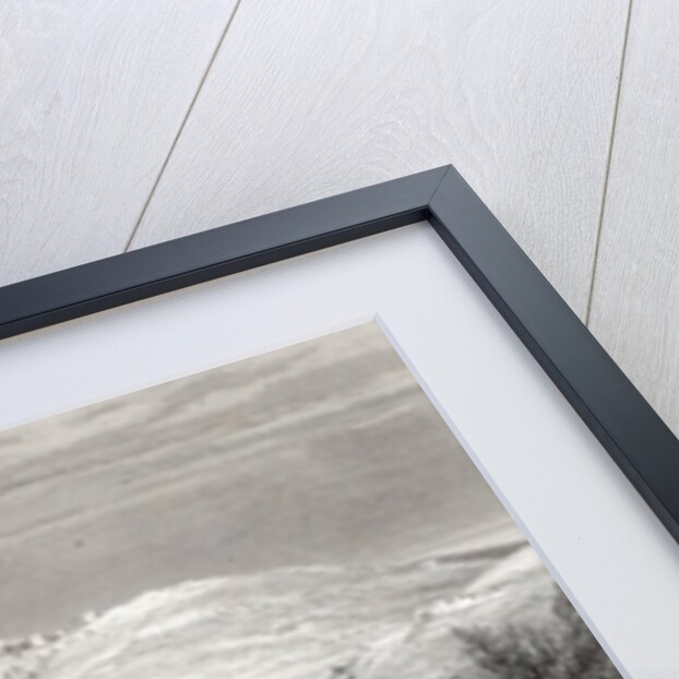 The Mount of Olives by Harry (after) Fenn