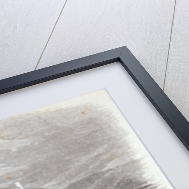 Arundel Castle and Town by English School