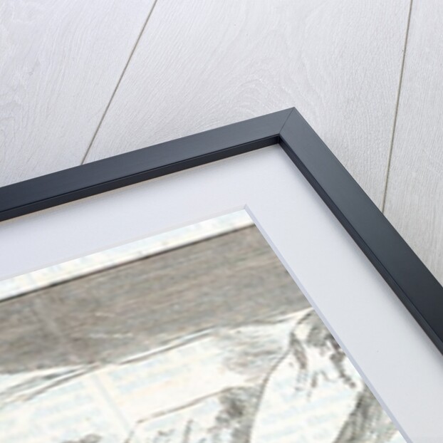 The North Pole Expedition: Discovery Bay by English School