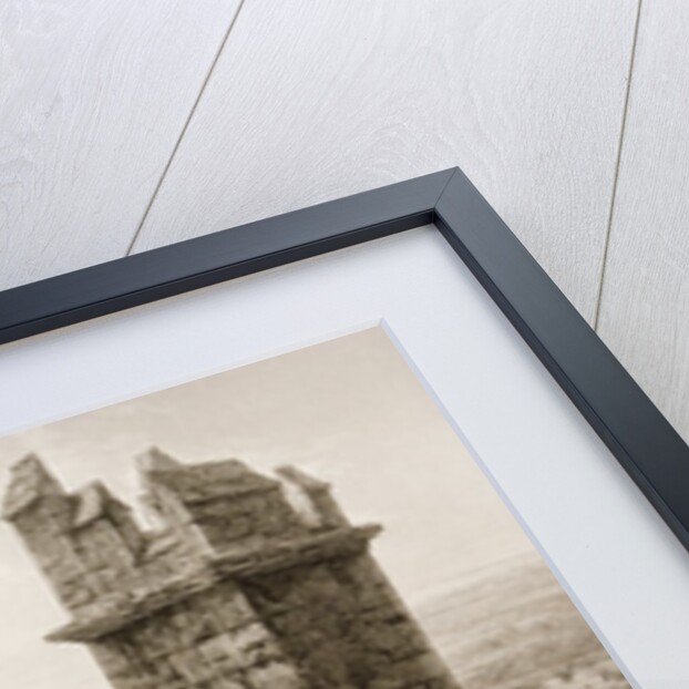 The River Shannon and Limerick from the Cathedral Tower, County Limerick by William Henry Bartlett