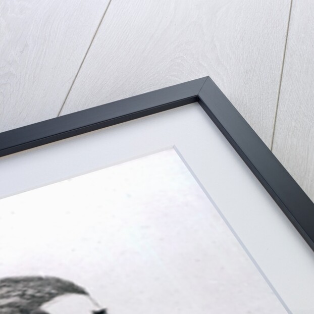 Franz Joseph Haydn, 1809 by George (after) Dance