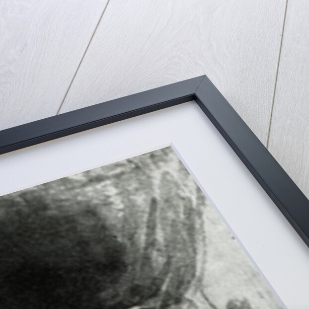 Napoleon studying his maps by lamplight, c.1800 by Jean Auguste Dominique Ingres