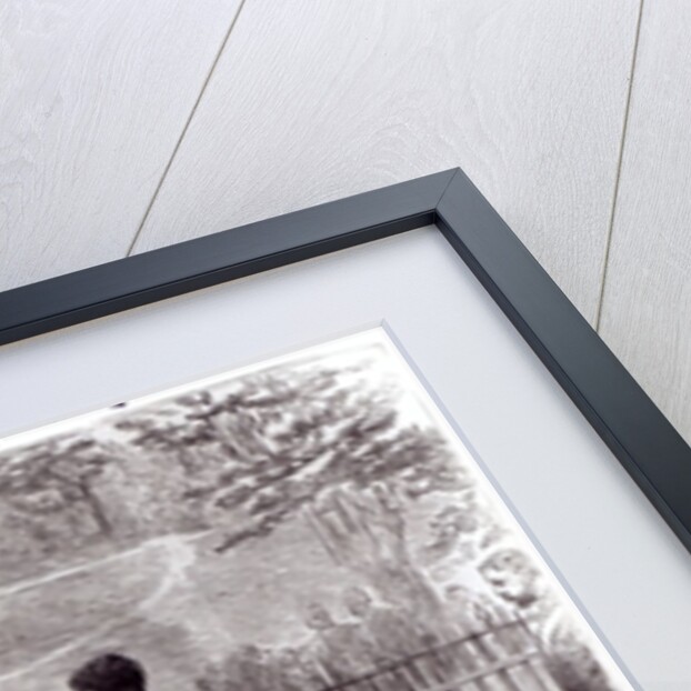 Empress Eugenie visiting the tomb of Napoleon I on St. Helena, 1880 by English School