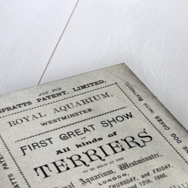 Poster advertising the Allied Terrier Club Show at the Royal Aquarium, Westminster in 1886 by English School