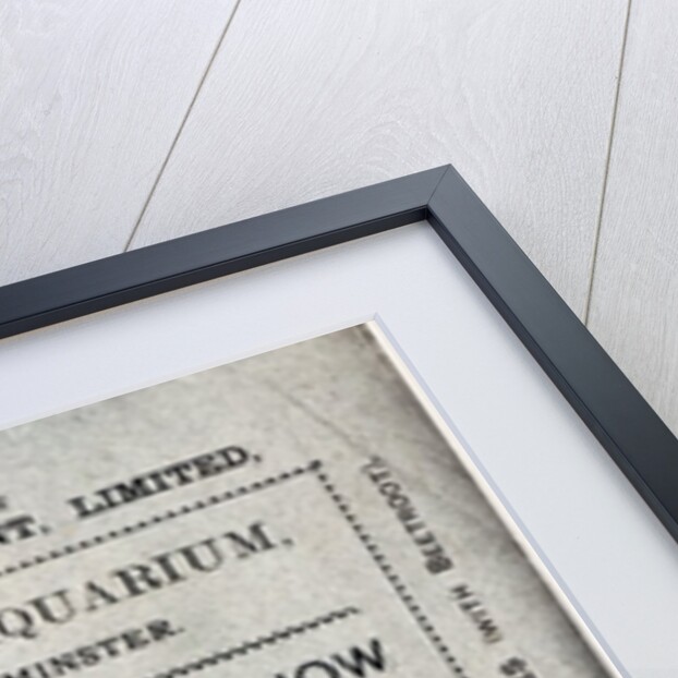 Poster advertising the Allied Terrier Club Show at the Royal Aquarium, Westminster in 1886 by English School