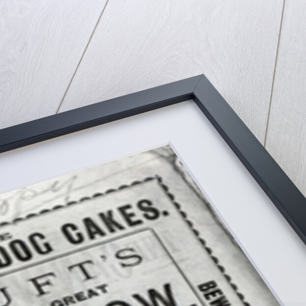 Poster advertising Cruft's Dog Show at the Royal Agricultural Hall in Islington, London in 1891 by English School