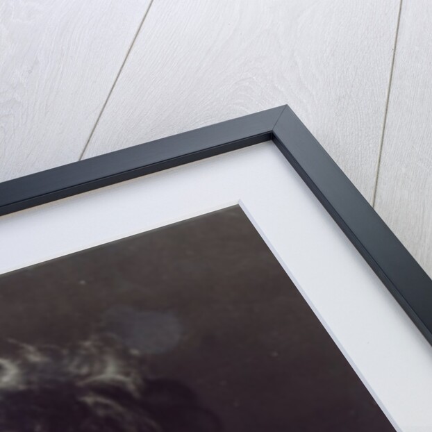 Mark Gertler by English Photographer