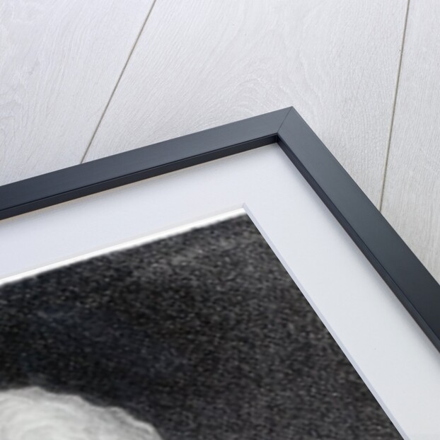 James Hook by English School