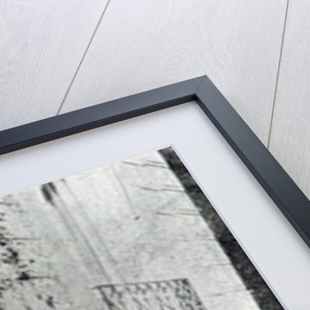 Claude Debussy in his garden by French Photographer