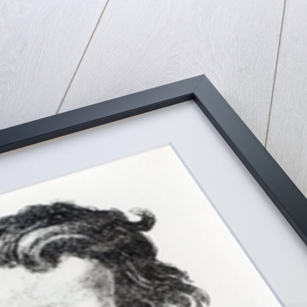 Hector Berlioz by Etienne Carjat