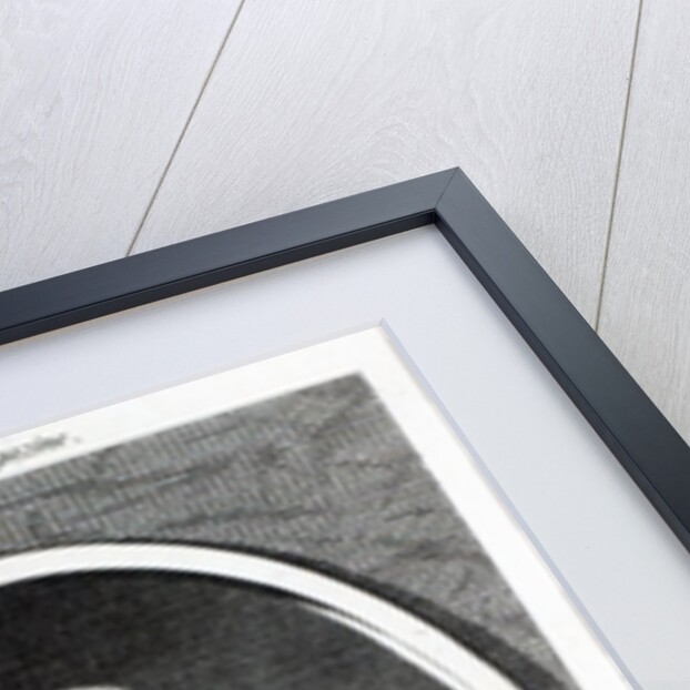 Dr. Arne by English School