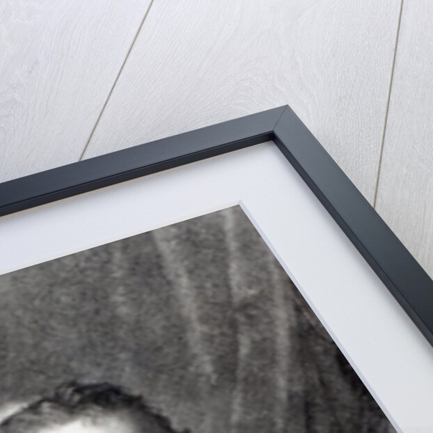 Pope Pius VII by Italian School