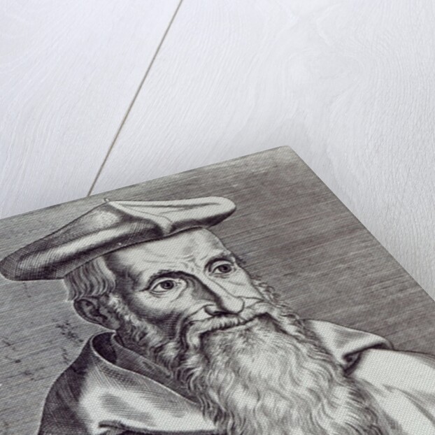 Stanislaus Hosius by German School