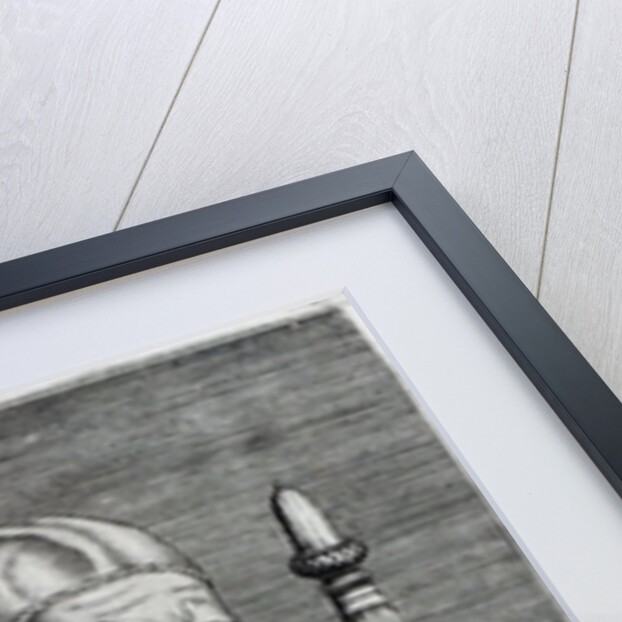 Pope Julius II by Raphael (1483-1520) (after)