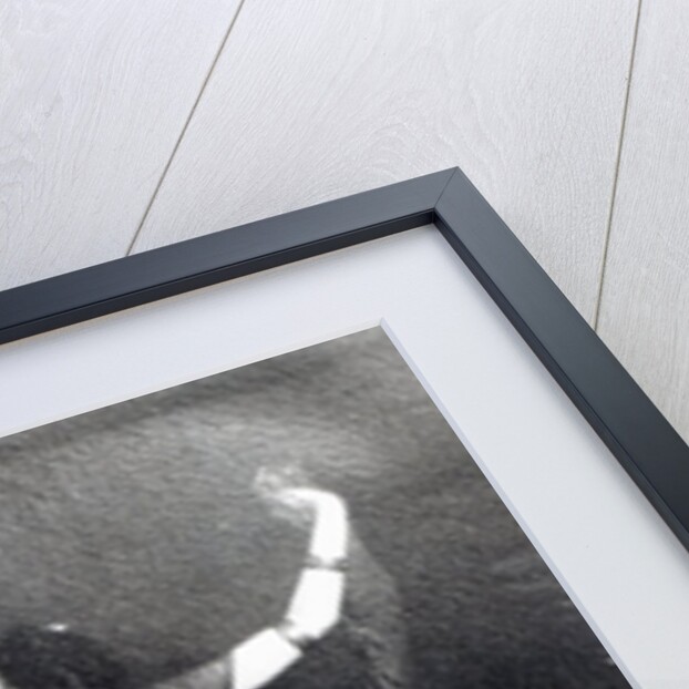 Ida Rubinstein in the role of Salome by French Photographer