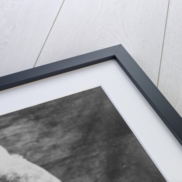 Maude Lloyd and Hugh Laing performing 'Jardin aux Lilas' at the Mercury Theatre, London, 1936 by English Photographer