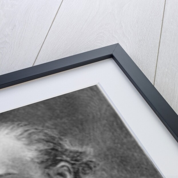 Anton Dvorak, 1894 by American School