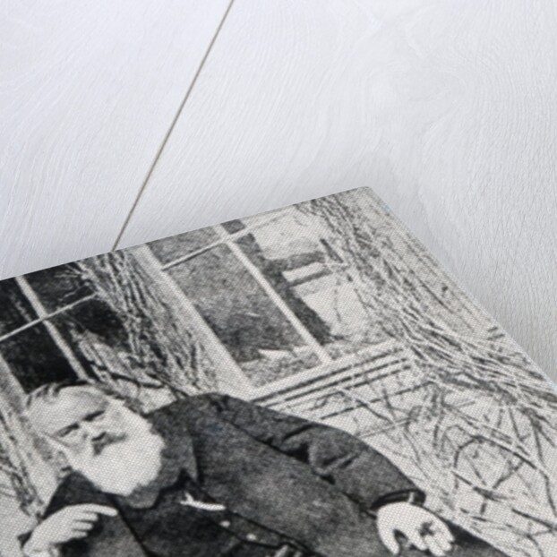 Johannes Brahms, c.1897 by Austrian Photographer