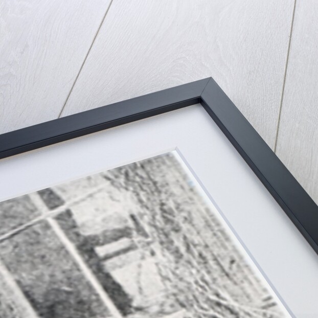 Johannes Brahms, c.1897 by Austrian Photographer