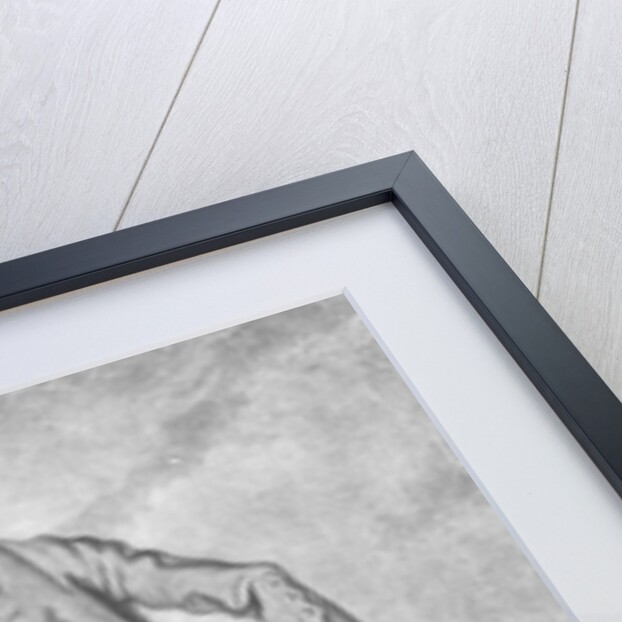 Gustavus Hamilton by William Hogarth