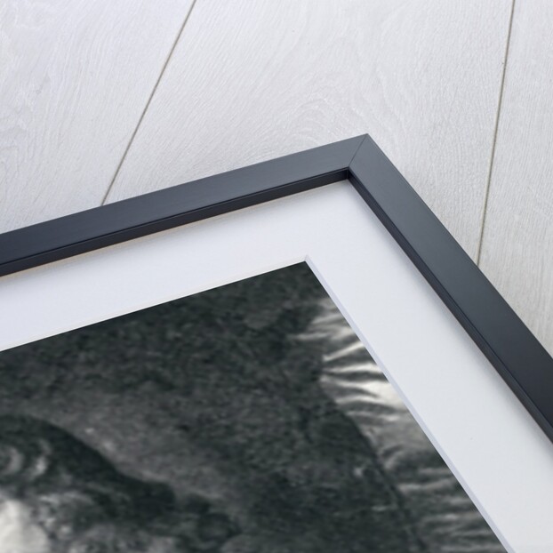 Portrait of Robert Spencer 2nd Earl of Sunderland by English School