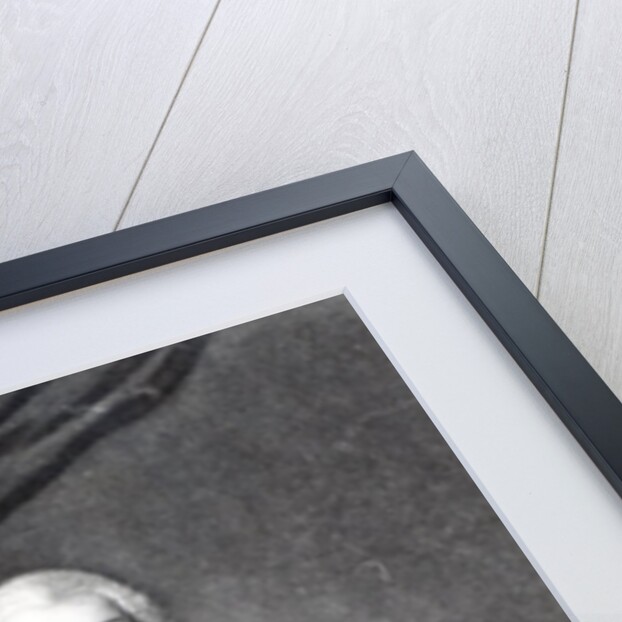 Angelo Maria Monticelli by Andrea Casali