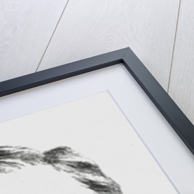 Lieutenant-Colonel Hamill Stewart, C.M.G 11th Hussars by English School