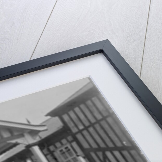 The first Phoenix Park Races, 1903 by English Photographer