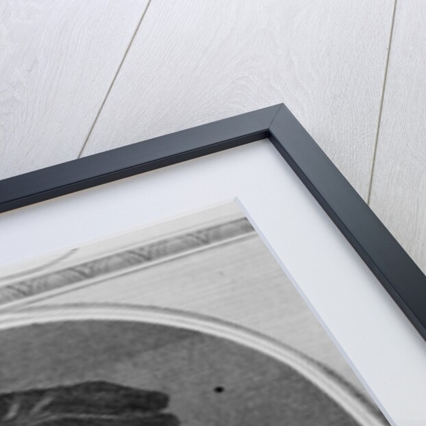 Sir Thomas Smyth by Hans Holbein the Younger