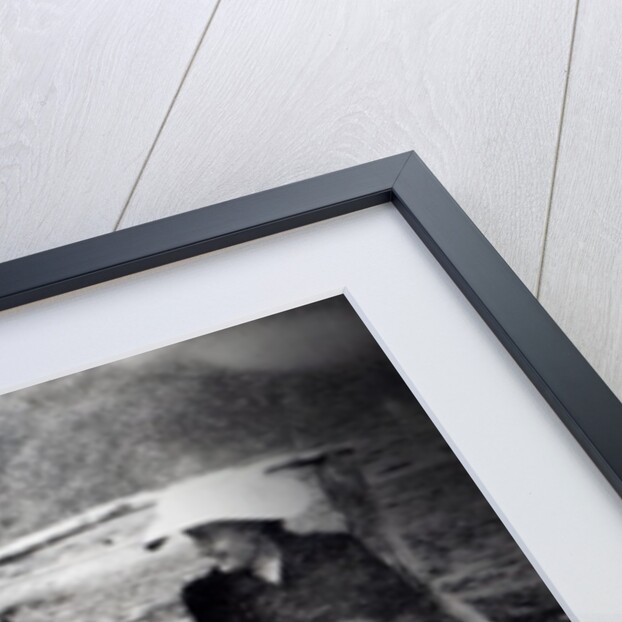 James and Lytton Strachey with Thoby, Adrian and Virginia Stephen in Fritham, Hampshire, 1901 by English Photographer