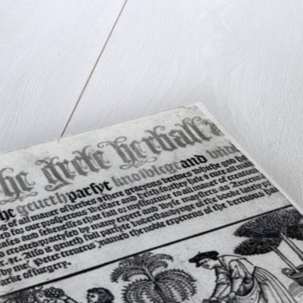 Medieval Herb Garden by English School